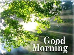Free Download 145 Hd Good Morning Images Pictures Photos Wallpapers Pics For Whatsap Good Morning Nature Good Morning Images Good Morning Beautiful Images
