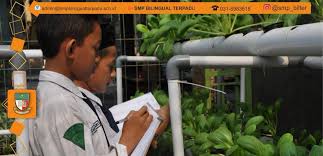  Observasi Lingkungan Sekolah