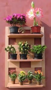 Los cactus, plantas crasas y suculentas conforman un grupo muy especial de plantas caracterizado, entre otros aspectos, por su las proporciones de materiales para elaborar un buen sustrato para cactus no siempre deben ser las mismas. 17 Ideas De Muebles Para Cactus Repisas Para Plantas Decoracion Plantas Decoracion De Casa Con Plantas