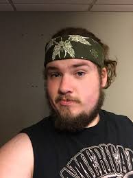 What are some affordable tree services in Lake Holcombe?