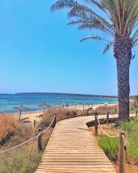 We did not find results for: Ibiza In 3 Days Sun Sea And Beach Unreal Earth