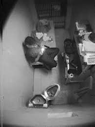 Paul bernardo was gracious and charming, invited the detectives into his house and gave them coffee, and after a paul bernardo came from a broken family. Paul Bernardo In His Prison Cell Serialkillers
