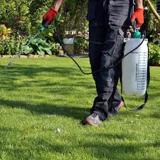 Like to live underground (in lawns), can be tough to deal with; How To Remove Mole Crickets This Old House