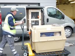 Find top drivers now · safe way to ship your pet · screened drivers Pet Relocation Service Cwmcadno Air Road Transport