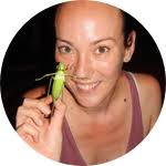 Spiders of Yasuni: How do their Physical Traits Determine their Lifestyle? 