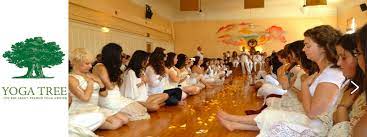 People were drawn to warmth and strength of teachings in this cozy space. Yoga Tree Yoga Studio In San Francisco Usa