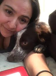 Is it normal for a pet to stop eating?