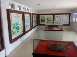 It is situated in between simpang (near taiping) and sitiawan. 8 Tempat Menarik Di Pantai Remis Perak Dan 14 Aktiviti Percutian Boleh Anda Lakukan Ammboi