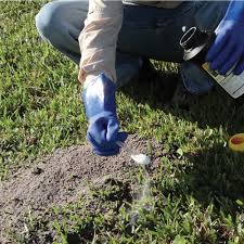 Check spelling or type a new query. How To Get Rid Of Fire Ants The Home Depot