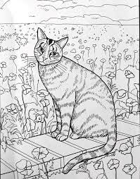 Best Coloring Books For Cat Lovers Cat Coloring Book Coloring Books Cute Coloring Pages