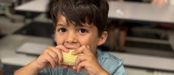 Storm Day Information