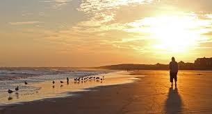 Deer, bobcats, gray foxes, raccoons, river otters, and ospreys. 10 Best Things To Do In Kiawah Island South Carolina Goats On The Road