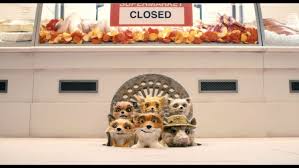 Fox wallpapers to download for free. Fantastic Mr Fox Animation Comedy Family Adventure 1mrfox Foxes Wallpapers Hd Desktop And Mobile Backgrounds