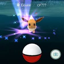 Power up your pokémon so that you can go to gyms, fight battles, and win, but you will need. 7 Facts About Catching And Training High Cp Pokemons