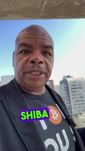 Exciting Developments for Shiba Inu: Building Their Own Layer