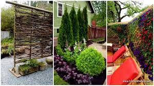 The invincible yard—12 ideas for lazy landscaping. 22 Simply Beautiful Low Budget Privacy Screens For Your Backyard