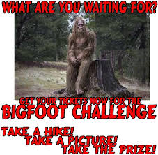 images?q=tbn:ANd9GcRrTBvVFL17ZgFucJZUqDc