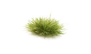 We did not find results for: Medium Green Grass Tufts Woodland Scenics
