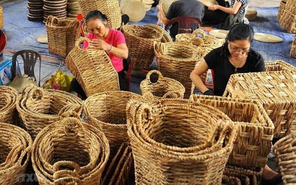 Viet Anh Sedge Processing