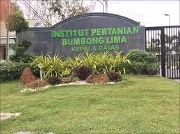 Ipserdang doa on twitter 26 9 program ramah mesra tuan pengarah bpmi doa bersama para pelajar institut pertanian malaysia di dewan besar ip bumbung lima pulau pinang. Institut Pertanian Bumbung Lima 15 17 Part 2 Youtube