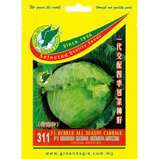 Maybe you would like to learn more about one of these? Green Eagle Cabbage Seeds All Season 311 F1 Hybrid Pherotools Seeds Benih Sayur Plants Bugs Shopee Malaysia