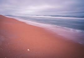 Check spelling or type a new query. Pink Sands Of Ormond Beach Photograph By Kyle Lee