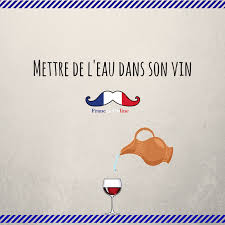 L Expression Mettre De L Eau Dans Son Vin Signifie Moderer Ses Exigences Ou Ses Ambiti Expressions Francaises Expressions Idiomatiques Apprendre Le Francais