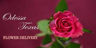 2745 n fm 1936, odessa, tx, 79764. The 8 Best Options For Flower Delivery In Odessa Texas 2021