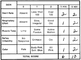 invention of the apgar scale tina stranges blog