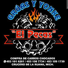 GRUAS Y YONKE EL PECAS