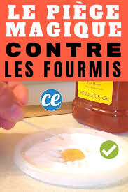 Invasion De Fourmis La Solution Miracle Avec Seulement 2 Ingredients 100 Naturels En 2020 Invasion De Fourmis Contre Les Fourmis Fourmis