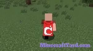 Metamorph Mod 1 17 1 1 16 5 1 15 2 1 14 4 For Minecraft