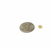 Neodymium Magnet Gold-Plated Disk N35 D4.5mm x 1.5mm(A ...