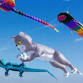 38th Annual Carolina Kite Festival event image