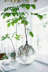 Le Vase Boule Petit Objet Avec De Grandes Idees Archzine Fr Jardin D Hiver Deco Plantes Jardin Interieur