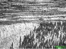 Image result for bulat steel micrograph