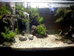 Pirdot Contoh Desain Air Terjun Aquscape Waterfall Aquascape Aquarium Backgrounds Fresh Water Fish Tank