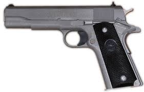 Image result for Corse Gray 1993 Colt