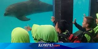 Misalnya saja seperti tempat parkir, toilet, resto hingga musholla. Catat Harga Dan Cara Beli Tiket Batang Dolphins Center 2020 Halaman All Kompas Com