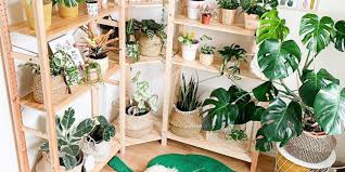 Decorate them with fresh plants and also use them to store books and accessories. Stylish Ways To Decorate Your Home With Houseplants Plants Spark Joy