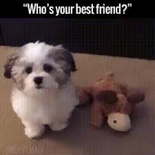 Pour Agrandir Et Voir Plus Beau Cliquez Sur L Image Chtoby Uvelichit I Uvidet Cute Animals Cute Funny Animals Animals