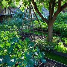 Maybe you would like to learn more about one of these? Pin On Garden Home