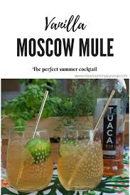 Vanilla Moscow Mule Recipe My Mountain Wild Recipe Mule Recipe Moscow Mule Recipe Perfect Summer Cocktails