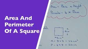 The video explains how to determine the perimeter and area of a square. How To Find The Area And Perimeter Of A Square Youtube