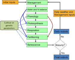 figure 1 from putting mechanisms into crop production models