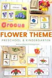 Most of these activities take less than 30 minutes before the kids can get stuck in, using items you'll already find around the house. Flower Theme Preschool And Kindergarten Activities Natural Beach Living