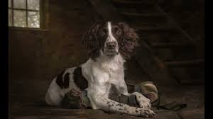 Caroline Dell Photographer South Yorkshire