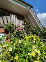 Maybe you would like to learn more about one of these? Abnehmen Im Urlaub Ihr Abnehmurlaub Bei Abnehmenundmeer