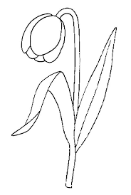 Plansa de colorat flori desene de colorat 63 este disponibilă gratuit pentru imprimare și / sau descărcare. Planse De Colorat Flori Lalele De Colorat P05 Desene De Colorat Flori Lalele De Colorat P05