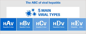 Today, most people become infected with the hepatitis c virus by sharing needles or other equipment used to prepare and inject drugs. Five Types Of Hepatitis All Explained Public Health Notes